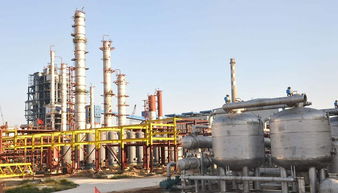 高半胱氨酸硫內酯鹽酸鹽市場生產需求現狀及前景分析